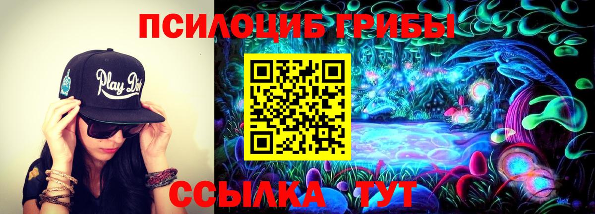 Галлюциногенные грибы Psilocybine cubensis  Псилоцибиновые грибы Psilocybe  хочу наркоту  Муравленко  Вход с VPN 
