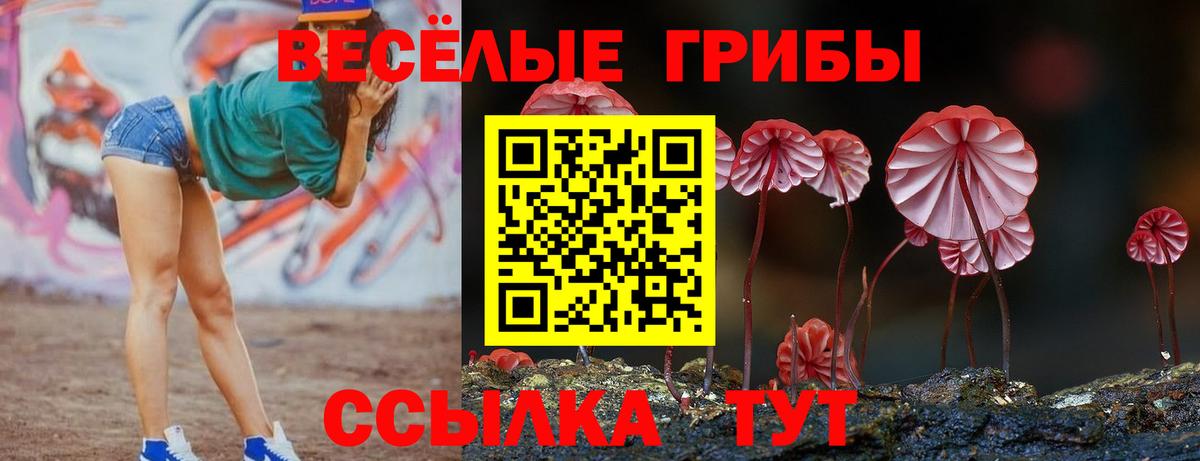 Псилоцибиновые грибы GOLDEN TEACHER Муравленко
